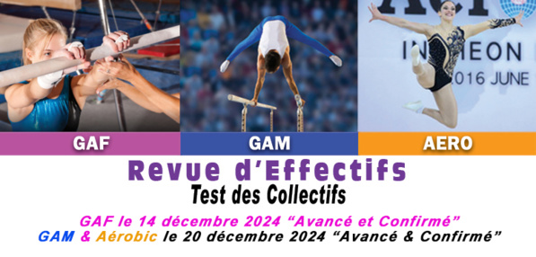 Revue d'effectifs